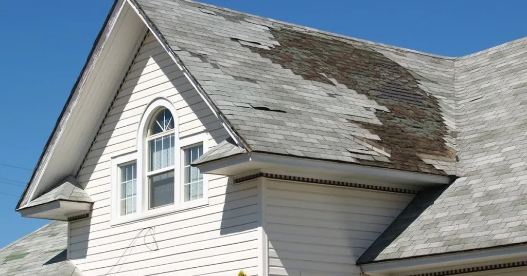 Roof with damaged shingles